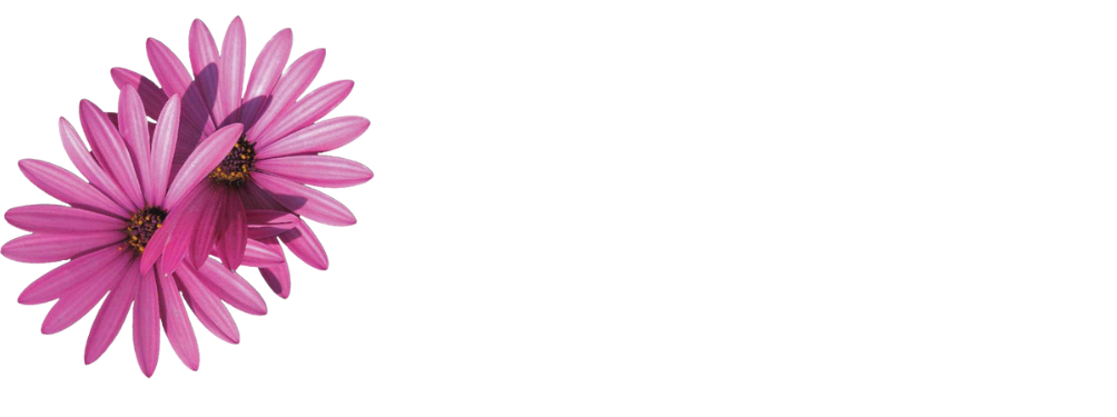 Santa Rita